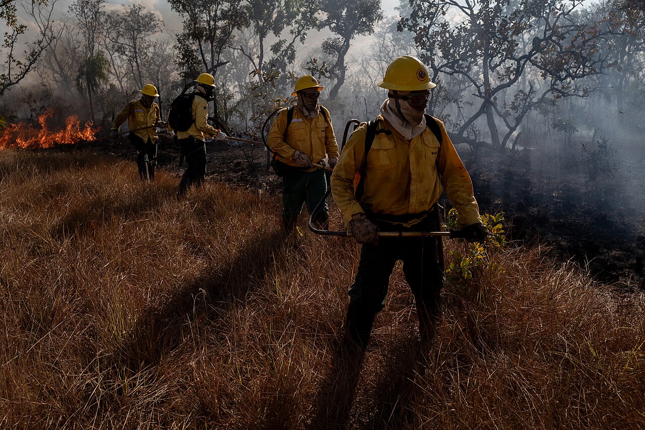 Firefighters in yellow helmets and gear work through dry grass beside flames and smoke in a forest